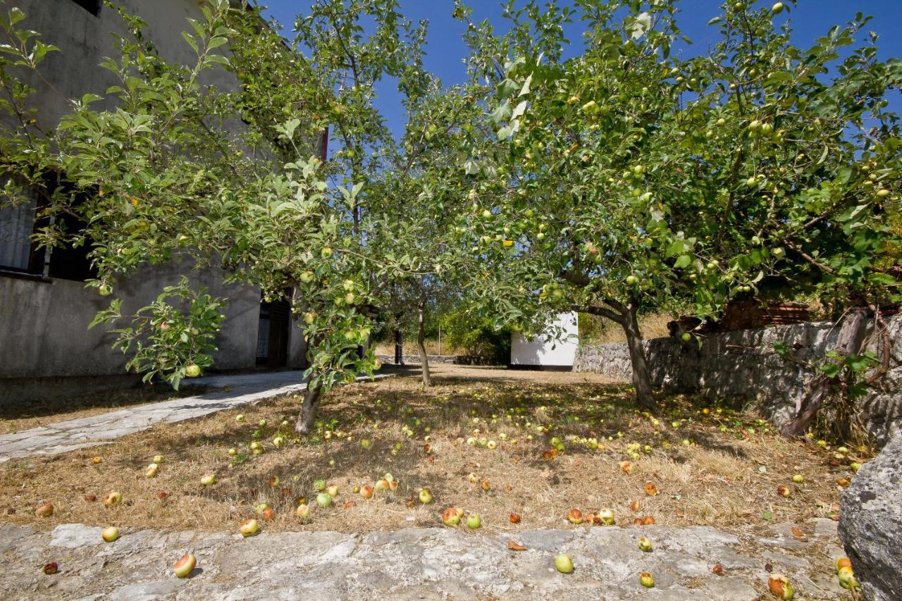 Villa Sailor'S Rustic House à Virpazar Extérieur photo