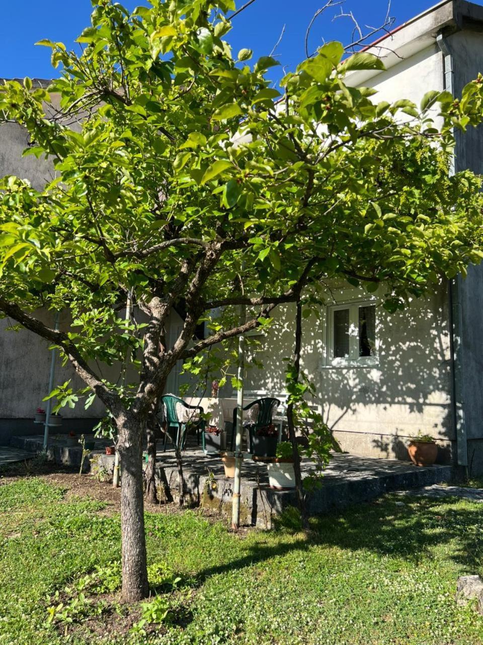Villa Sailor'S Rustic House à Virpazar Extérieur photo