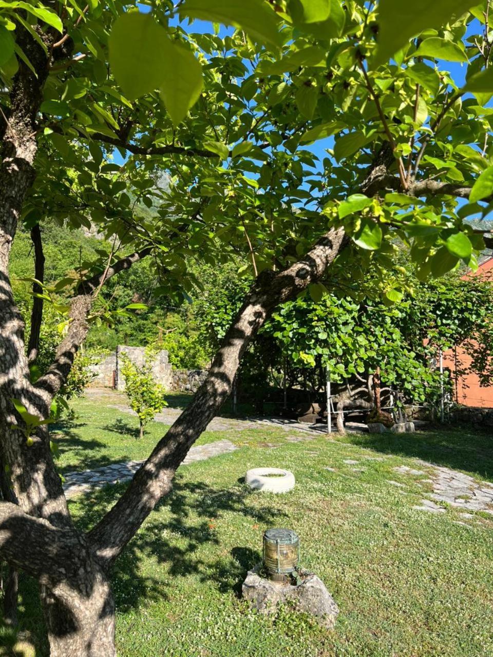 Villa Sailor'S Rustic House à Virpazar Extérieur photo